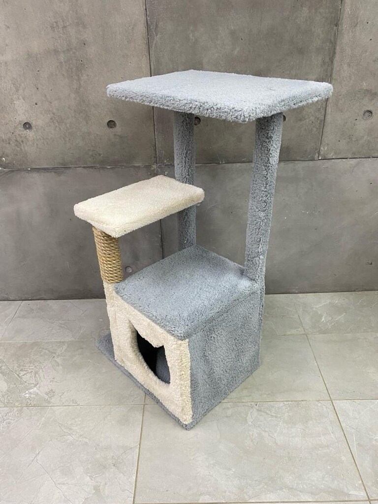 kedi evi - 3