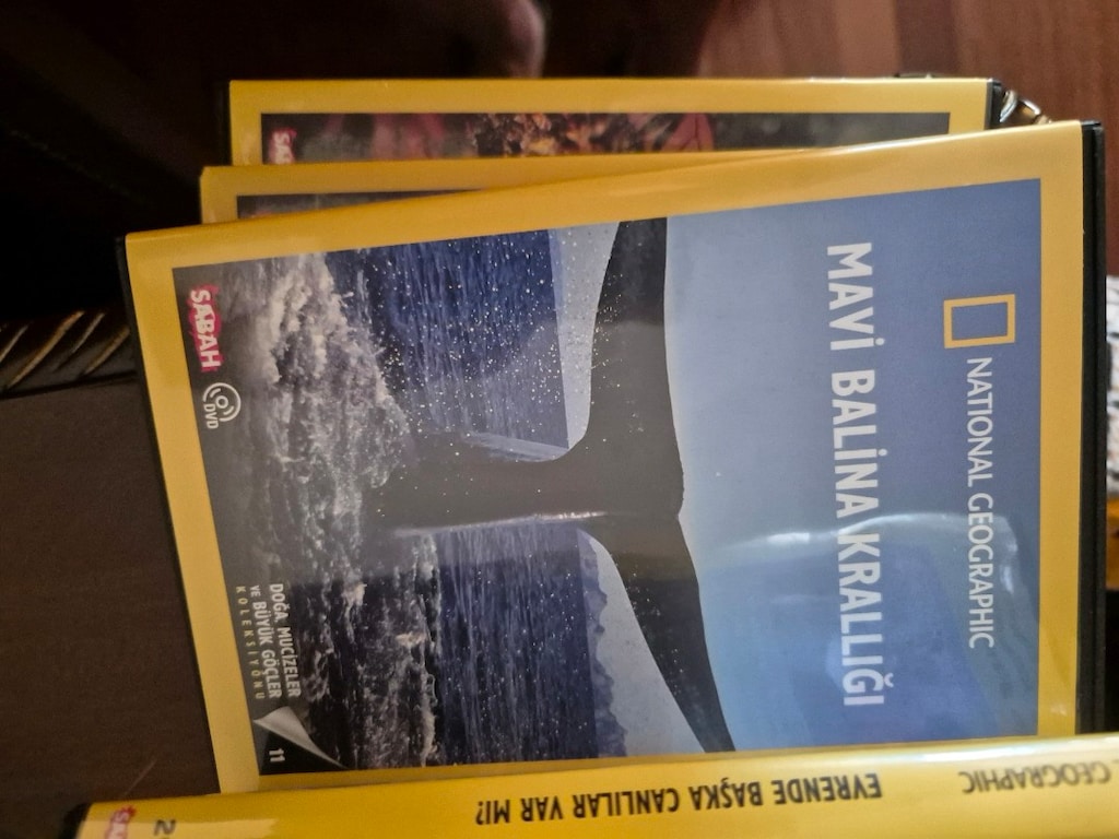 30 ADET NATIONAL GEOGRAPHIC CD - 7