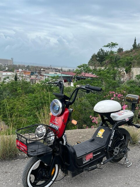 Motolux gogo