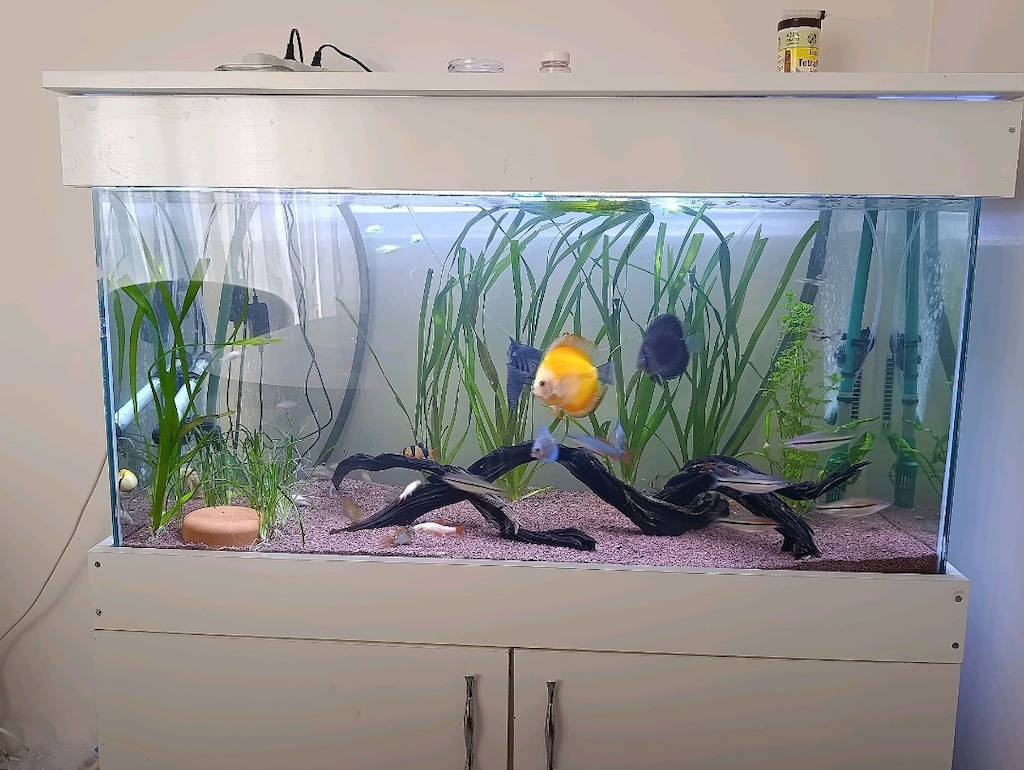 full + full kurulu akvaryum mobilyalı
