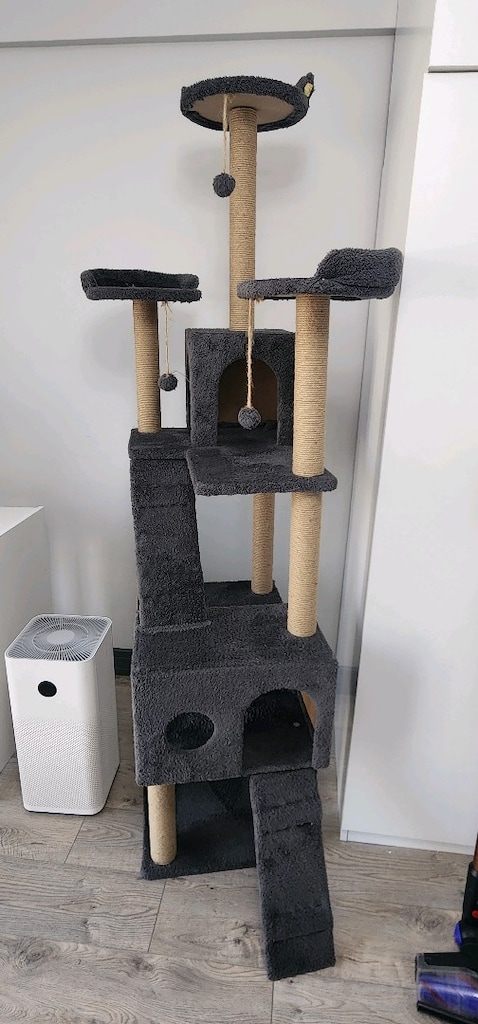 Kedi Oyun Evi - 2