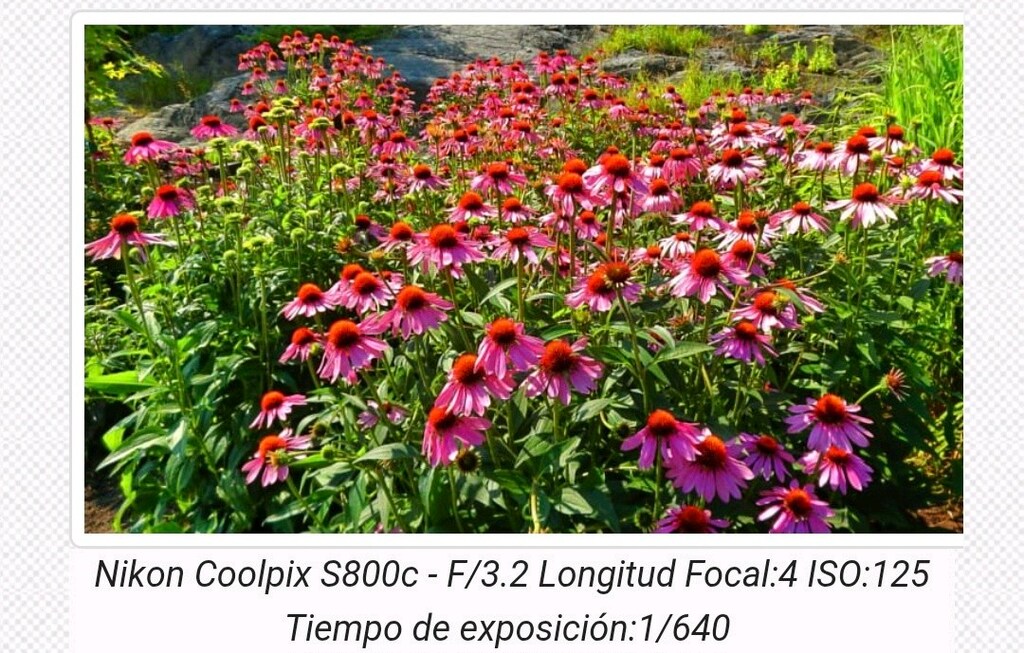 Nikon COOLPIX S800C Android Fotoğraf Makinesi - 13