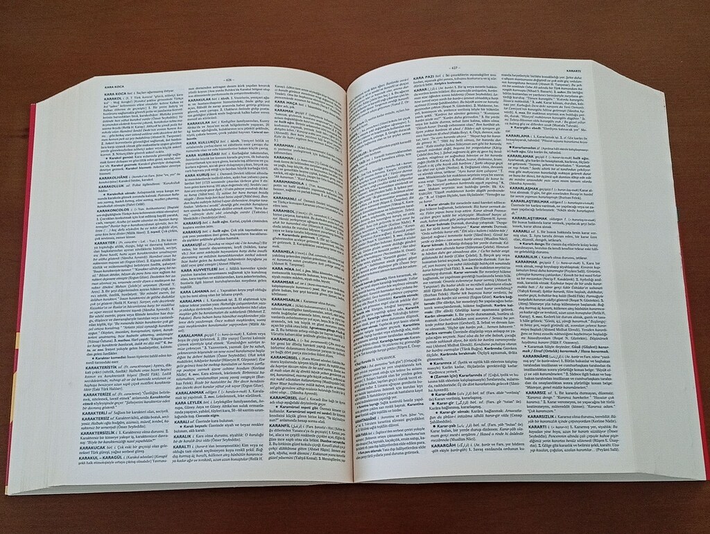 TÜRKÇE SÖZLÜK DEV BOYUTTA - 10