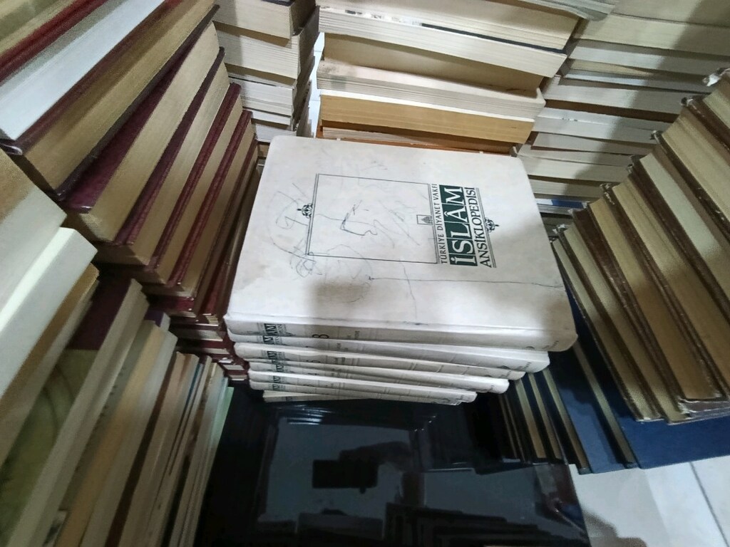 tarih profösörünün kütüphanesi - 8