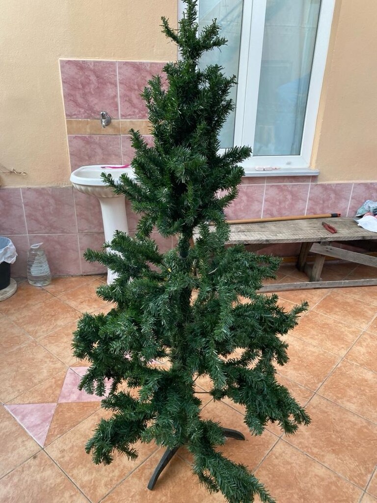 çam agacı - 9