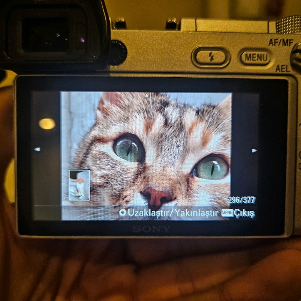 Sony Alpha a6300 (Gri) + Sony E 16mm f/2.8 Lens - 5