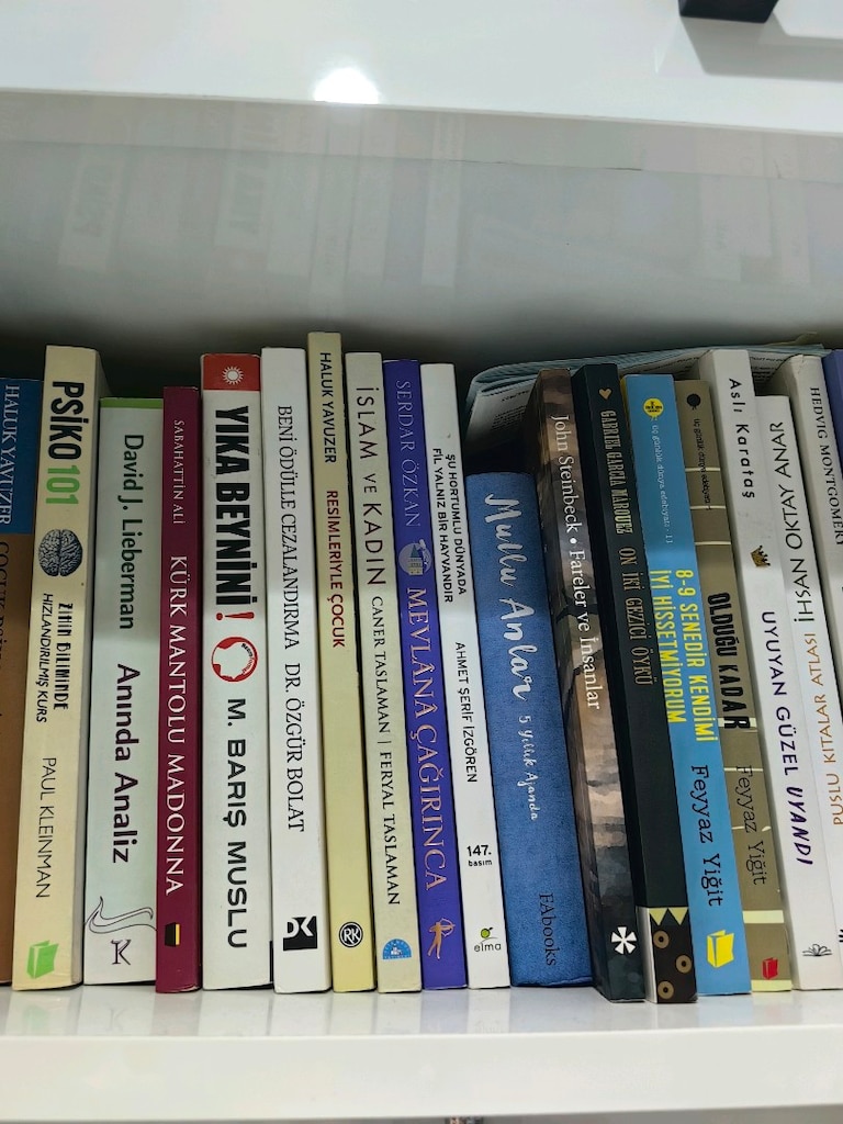 Görseldeki kitaplarım satılıktır. Hepsi orjinaldir. - 3