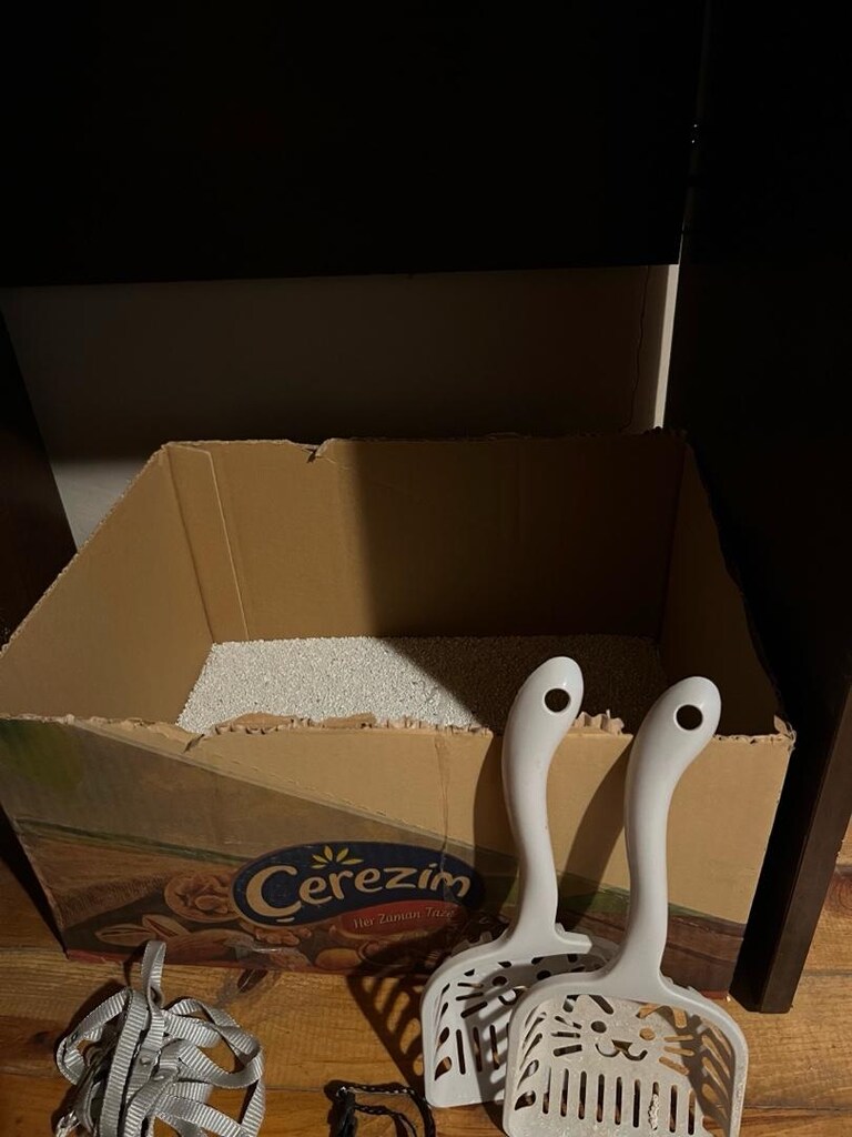 Kedi Malzemeleri - 2