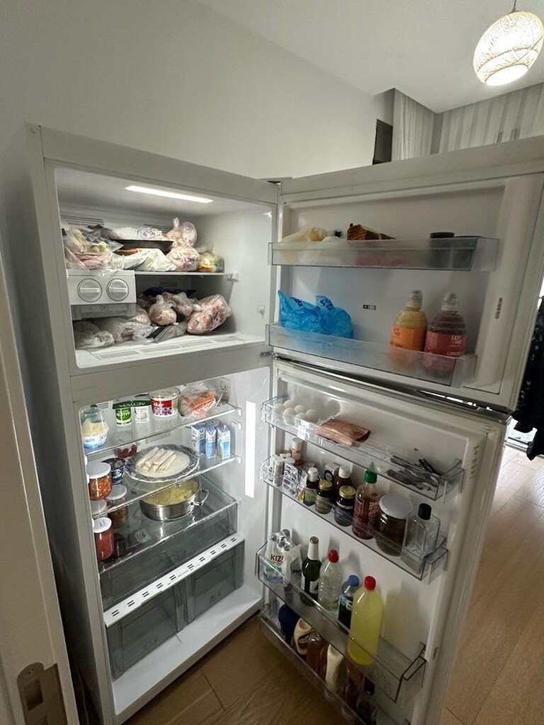 vestel eco nf 450 buzdolabı - 2