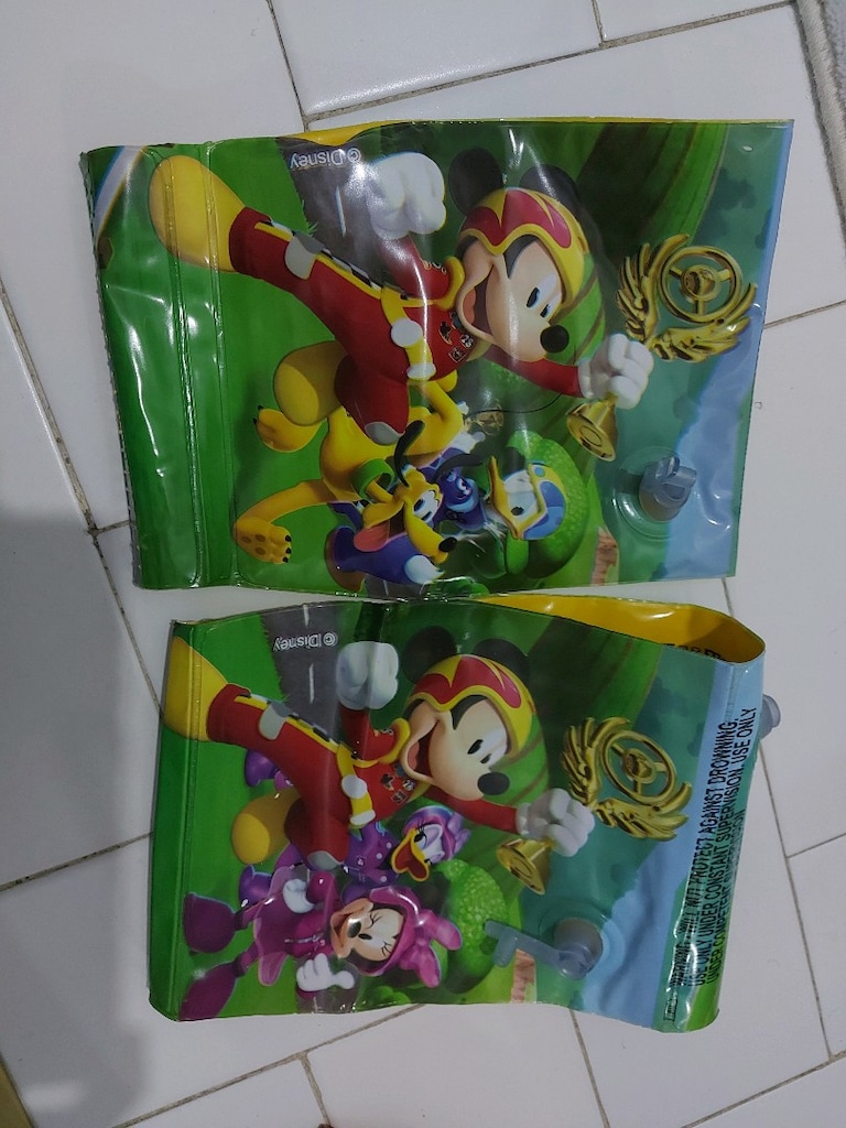 Disney kolluk
