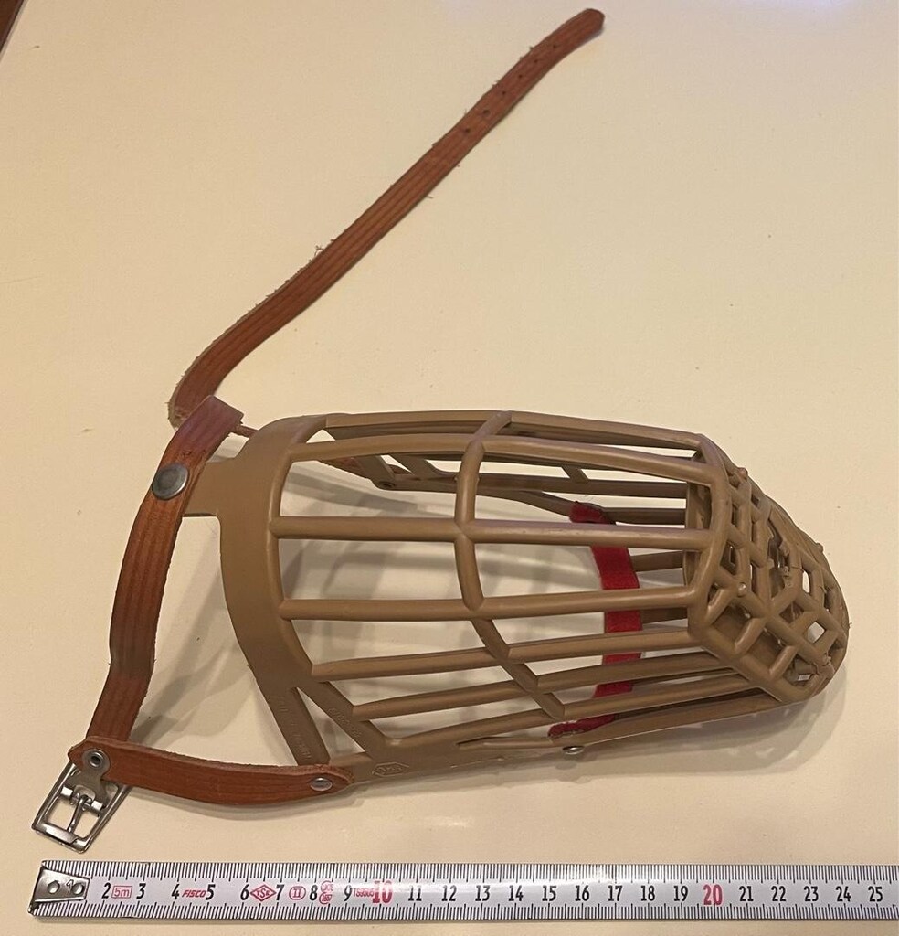 köpek ağızlık burunluk tasması - 5