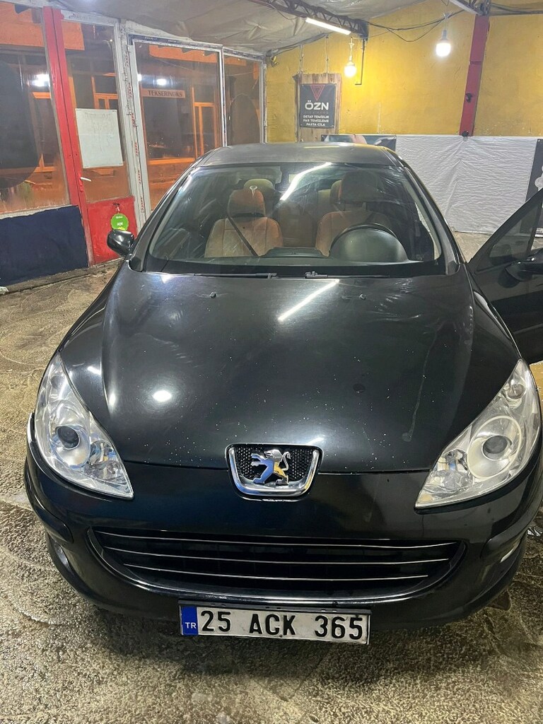Peugeot 407 - 13