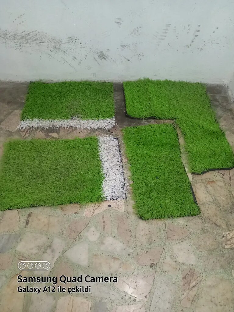 ARABA PASPASI TAKIMI - 2