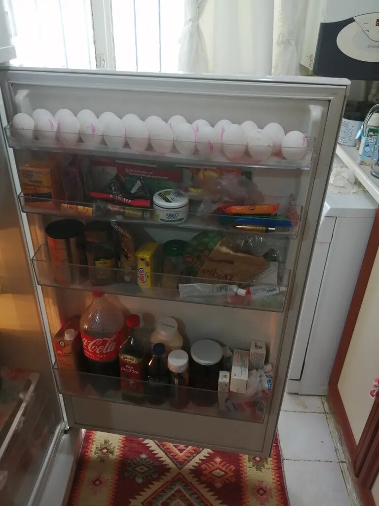 Tertemiz buzdolabı - 2