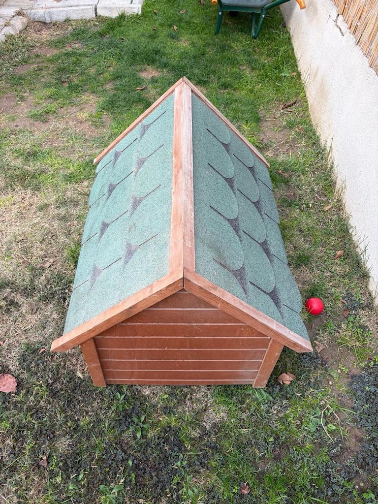 KÖPEK KULÜBESİ - 2