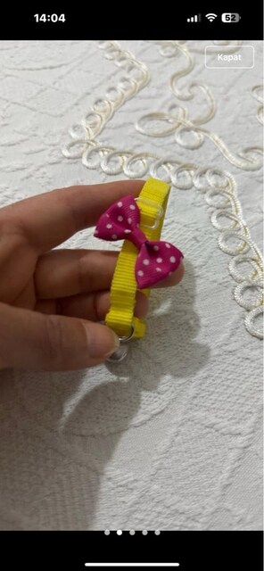 kedı tasması