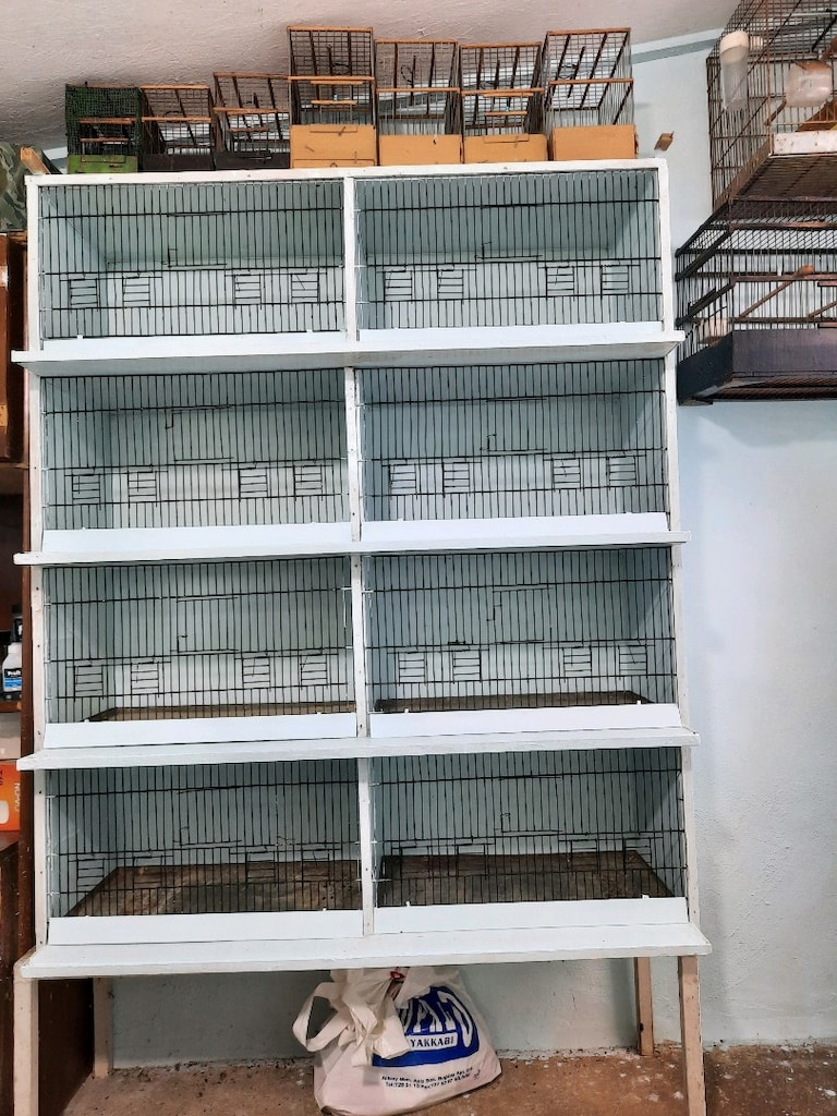kanarya box - 3