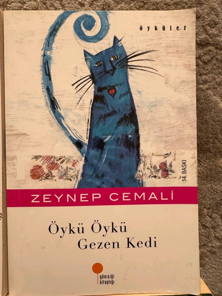 Ortaokul Seviyesi İçin Uygun 10 Önerilen Çocuk Kitabı - 5