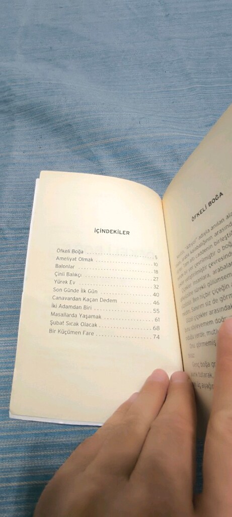 ÖFKELi BOGA ABBAS CILGA hikaye kitabı - 3
