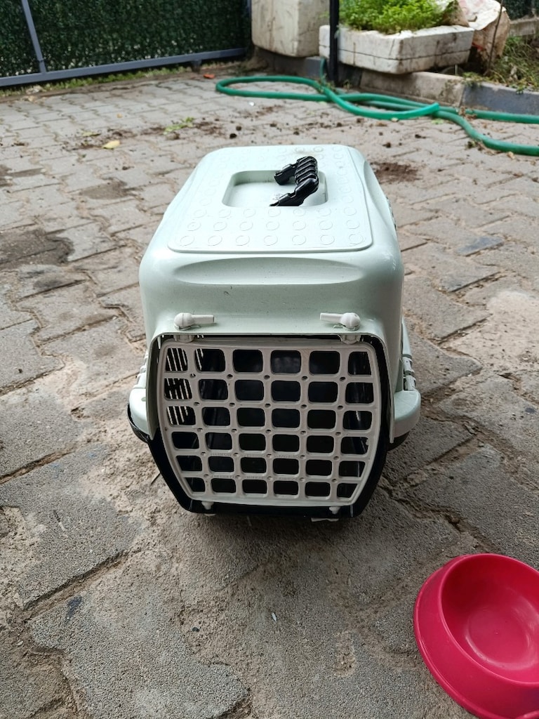 KEDİ MALZEME - 4