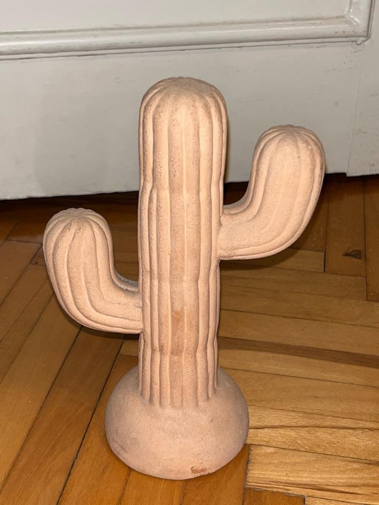 kaktüs biblo - 3