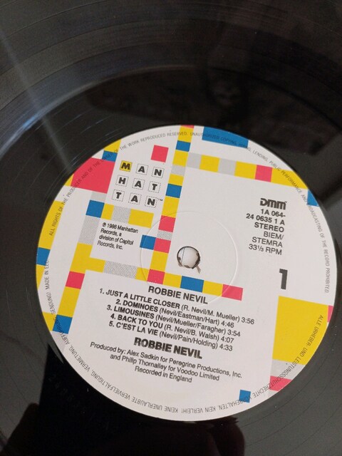 ROBBİE NEVİL CEST LA VİE DÖNEM LP PLAK 33RPM
