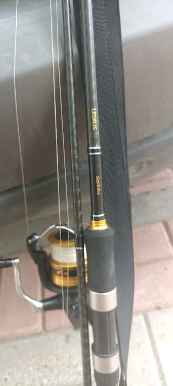 Daiwa karbon legalis seabass - 4