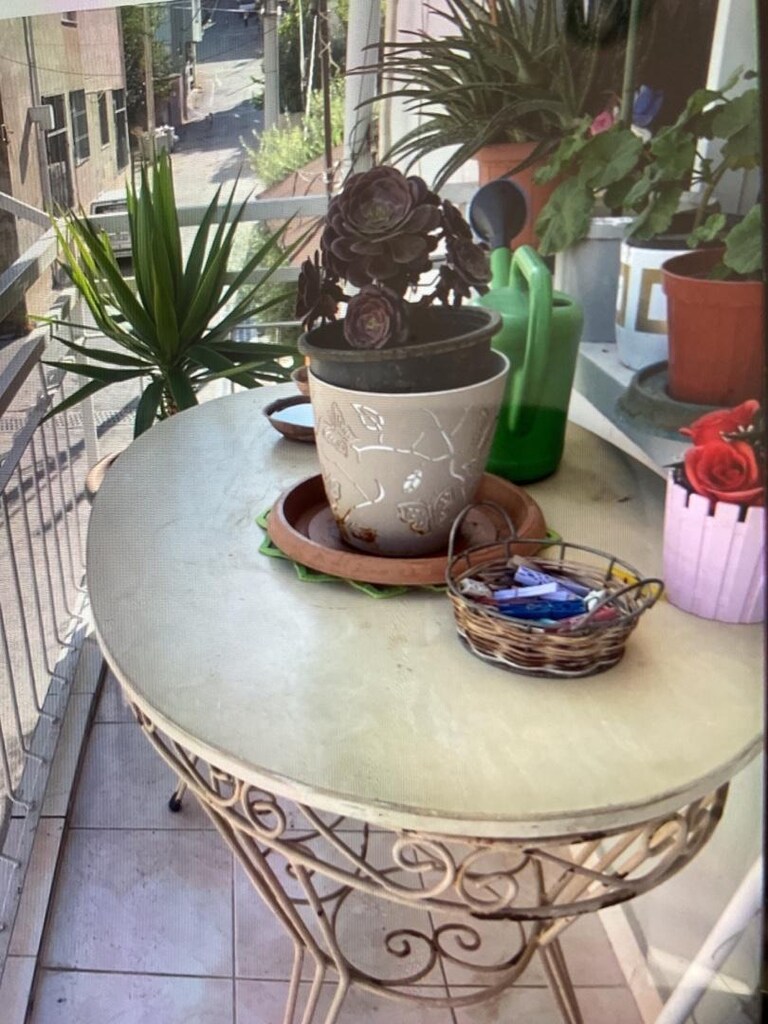 canlı çiçek - 2
