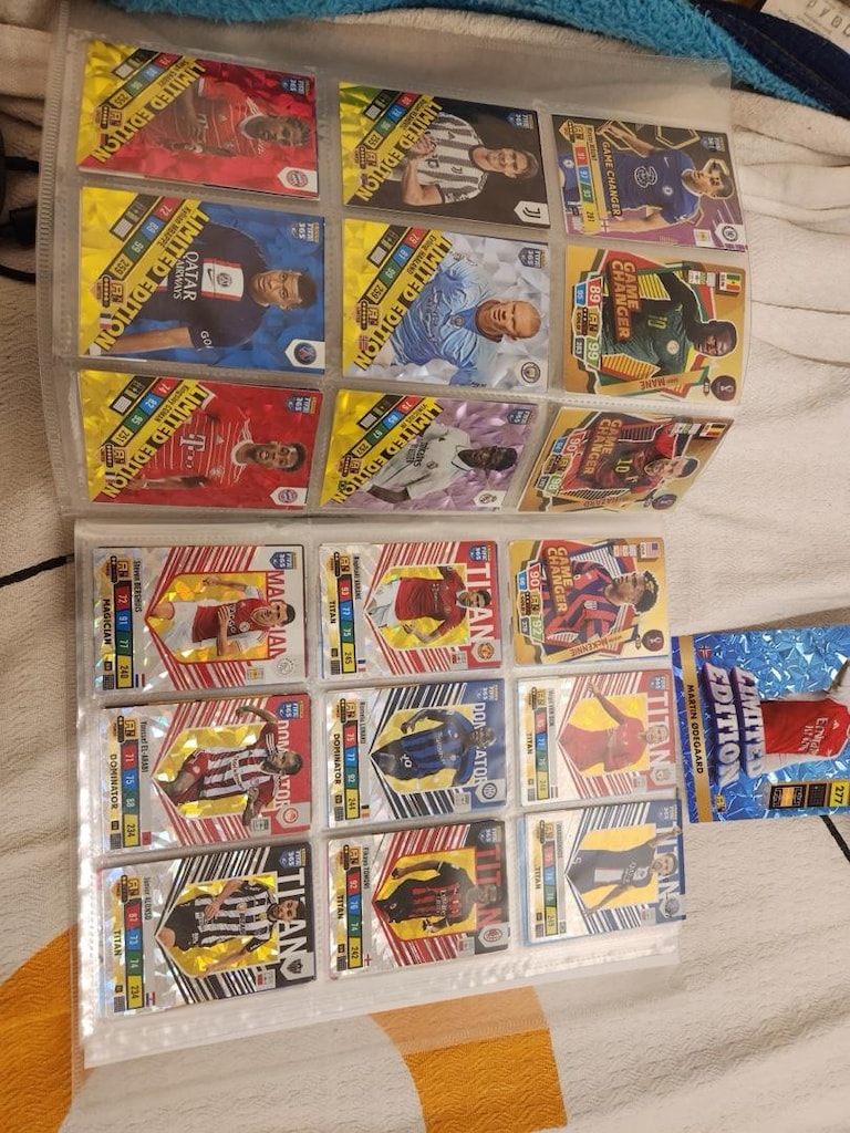 Panini Orjinal futbolcu kartları - 2