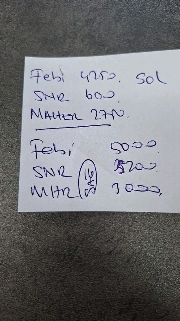 VESTEL 55 WATT TEMİZ ZAMAN AYARLI VANTİLATÖR - 4