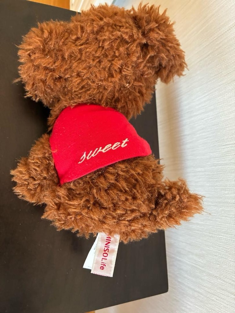 Miniso Peluş Köpek - 3