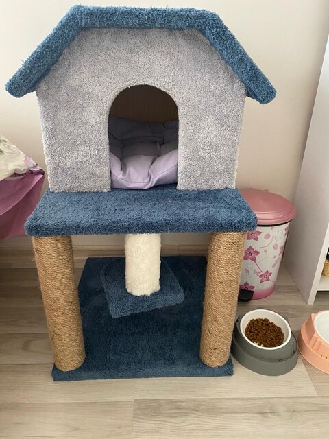Kedi Evi