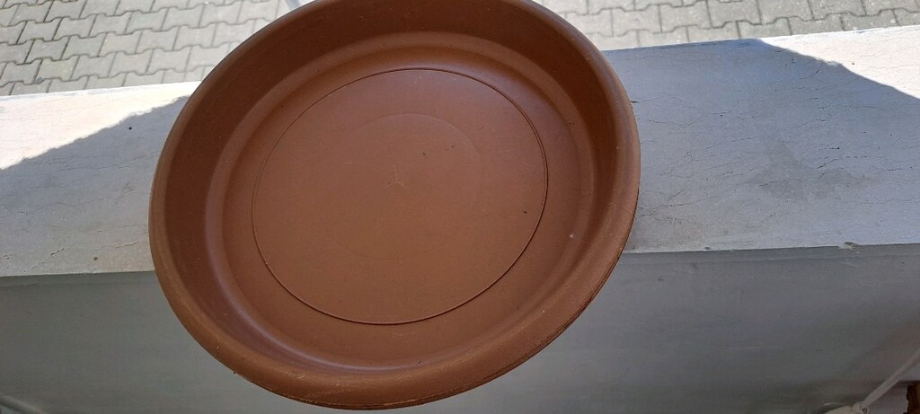 Büyük boy plastik saksı Adet 100tl - 4
