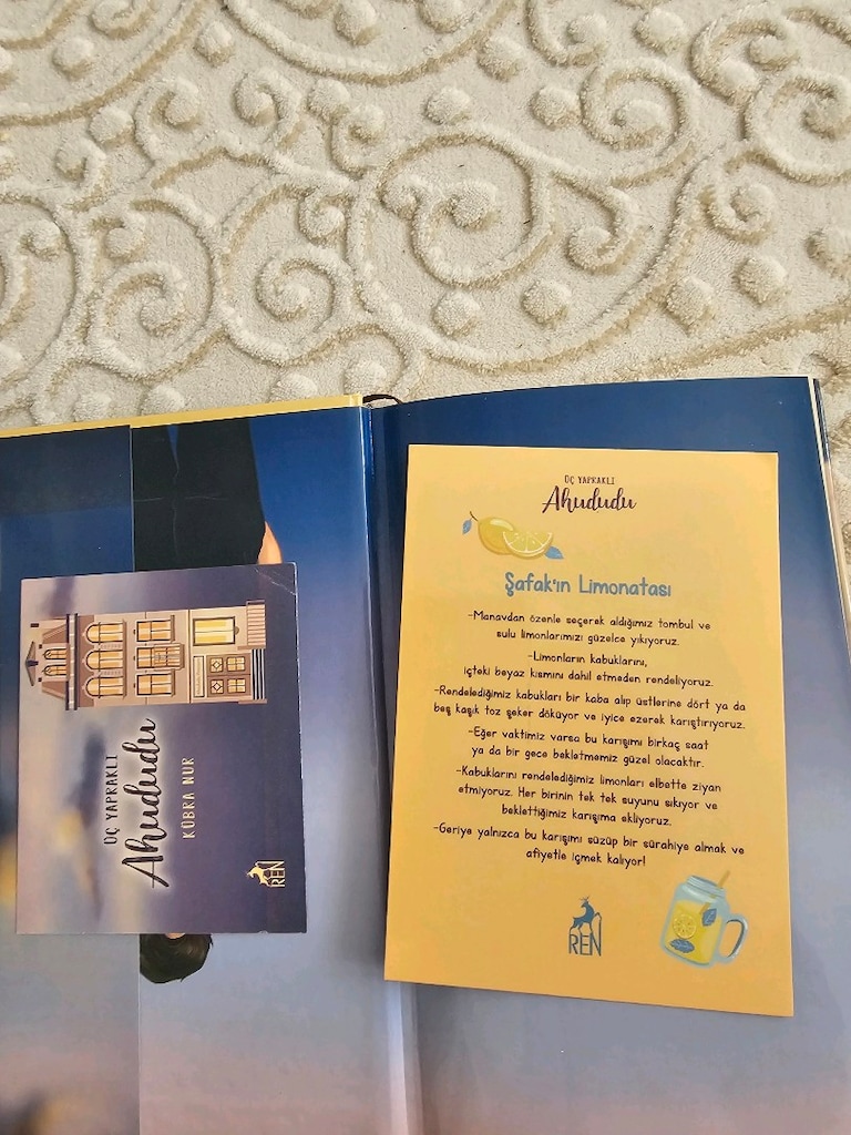 Üç yapraklı ahududu kitabı - 3