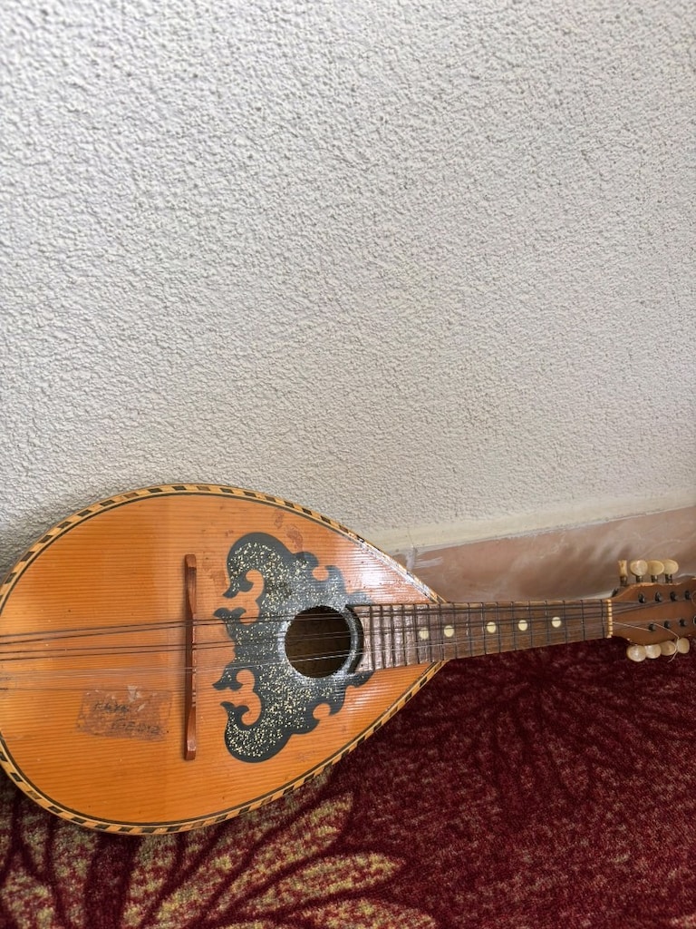 mandolin - 2
