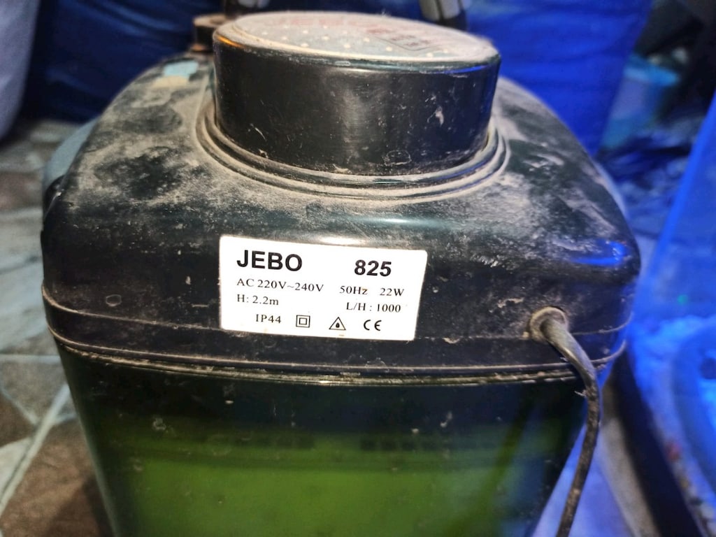 Kavisli Cam Akvaryum + JEBO 825 Motor + Mavi Akvaryum Işığı - 10