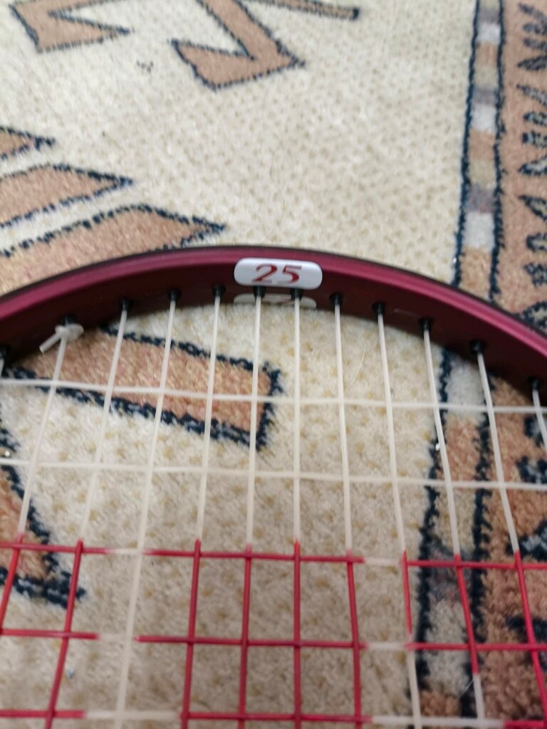 Wilson Sampras Tour 25 - 6