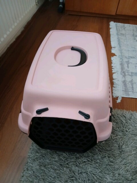 kedi köpek taşıma çantası