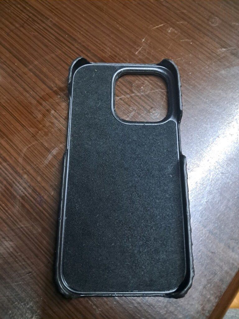 iPhone 16 Yılan Derisi kılıf - 9
