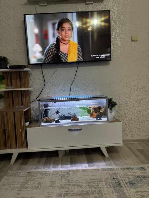 büyük boy akvaryum