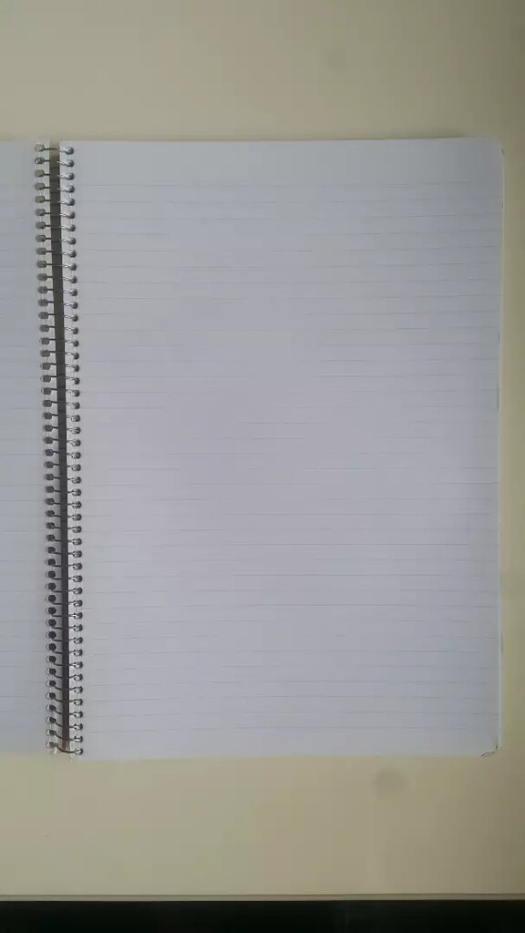 METEKSAN FLORA pp kapak A4 spiralli 120 yaprak çizgili defter - 4