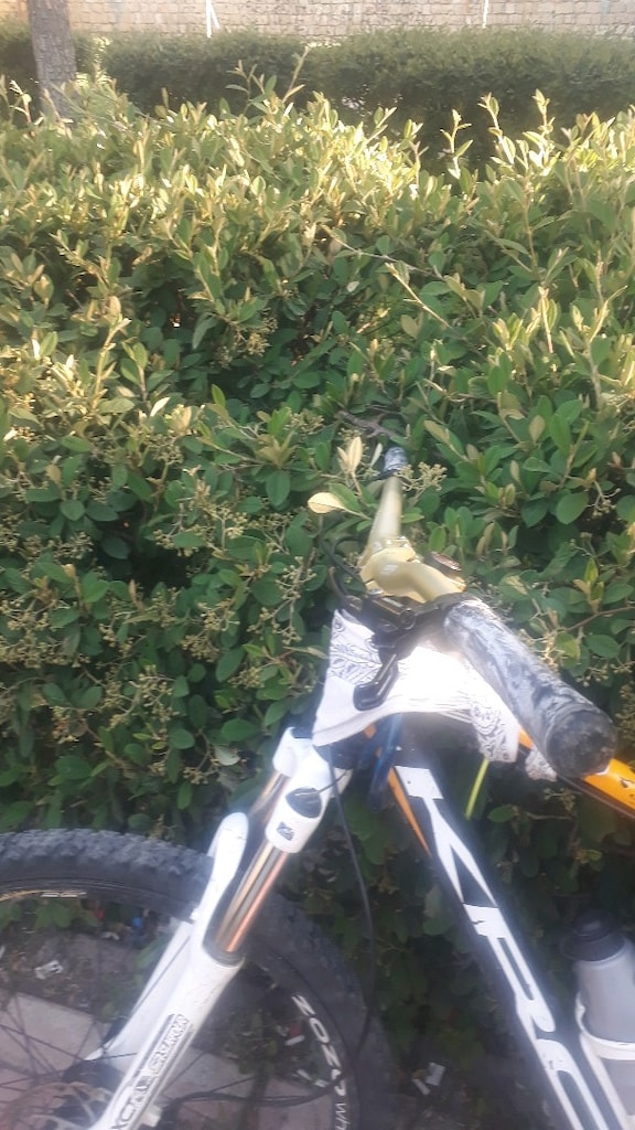 Kron XC100 | Shimano Tek Yaprak | Ön-Arka Hidrolik Fren | Masraf - 5