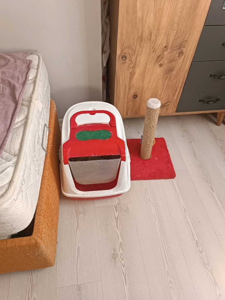 kedi taşıma ve wc tirmanma - 2