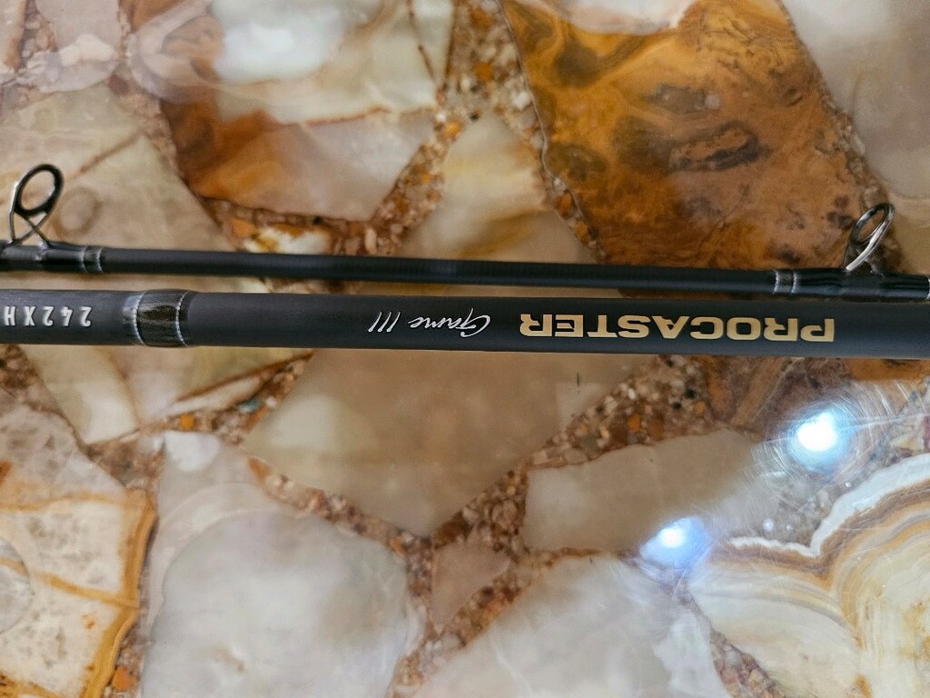 Daiwa New Procaster Game III 240 cm 30-120gr - 2