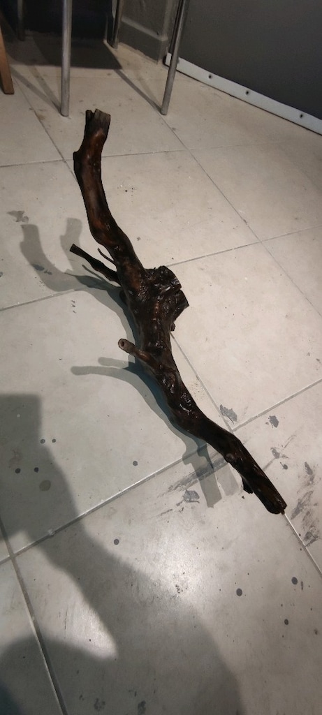 Yati kökü - 4