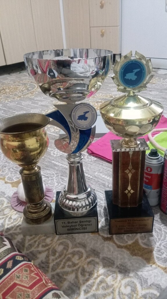 yüzüncü yıl üniversitesi kupaları - 2