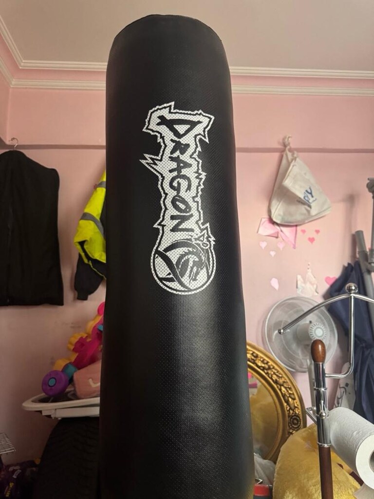 dragon boks adamı - 2
