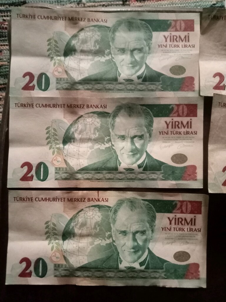 koleksiyonluk eski YTL paralar - 11