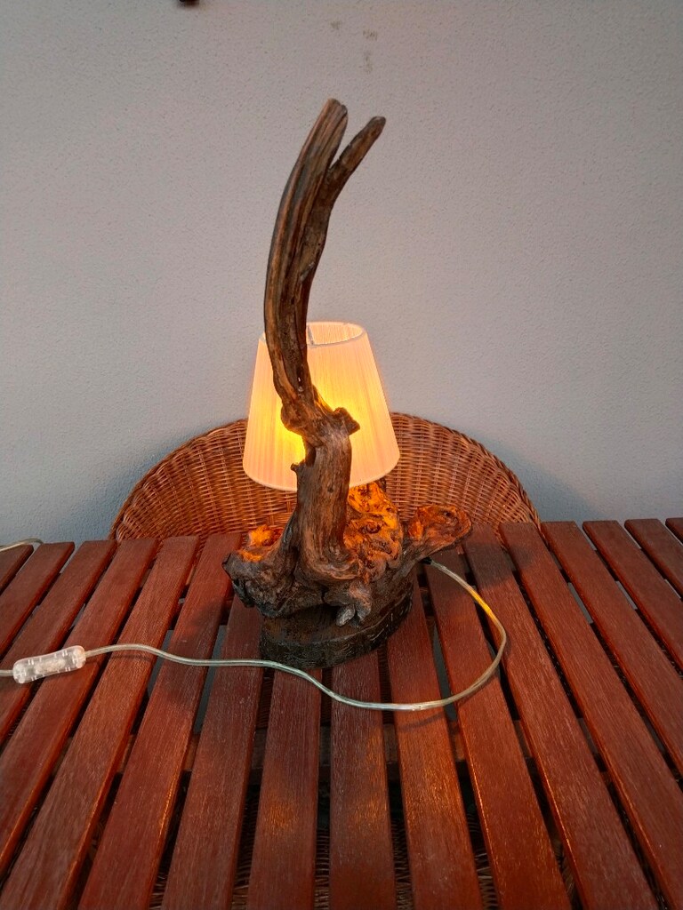 Doğal Obje,Orjinal bir tasarım ABAJUR. - 3