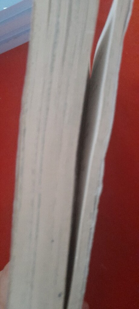 MİDDLE SCHOOL, JAMES PATTERSON - 6